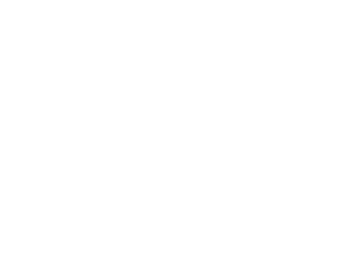 The Fox Inn